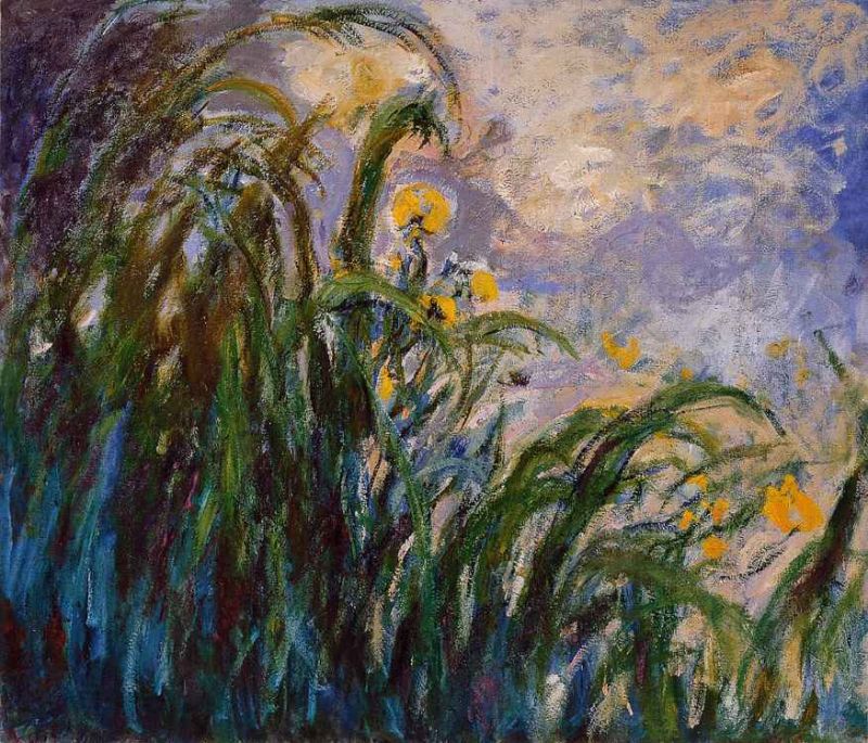 1824 - les iris jaunes.jpg
